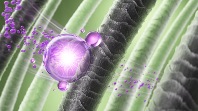 두피 생태계(MICROBIOME)의 균형이 탈모에 미치는 영향