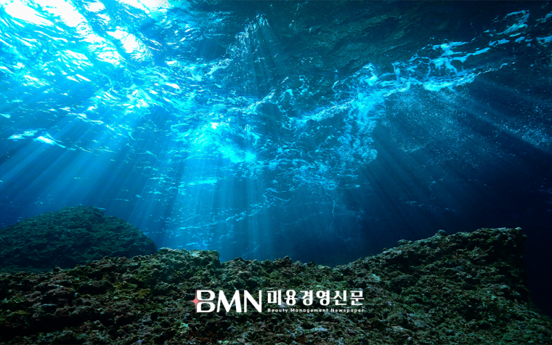"블루바이오가 K-뷰티 미래 연다"... 해양 원료 기반 화장품 시장 급성장