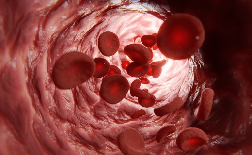 혈관 노화가 건강에 미치는 영향과 혈관 건강 관리 방법