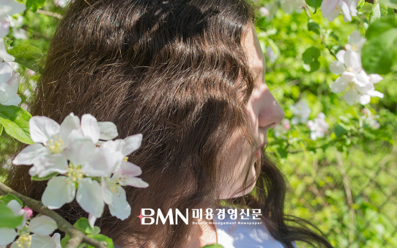 2026년 4월, 봄철 탈모 검색량 급증… 계절 변화 영향 주목