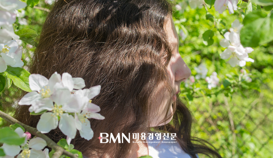 2026년 4월, 봄철 탈모 검색량 급증… 계절 변화 영향 주목